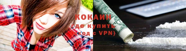мяу мяу мука Горно-Алтайск