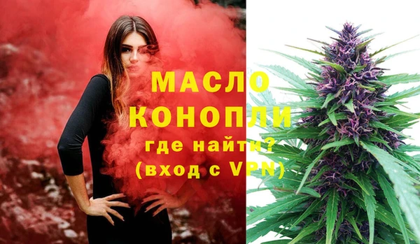 дмт Горняк