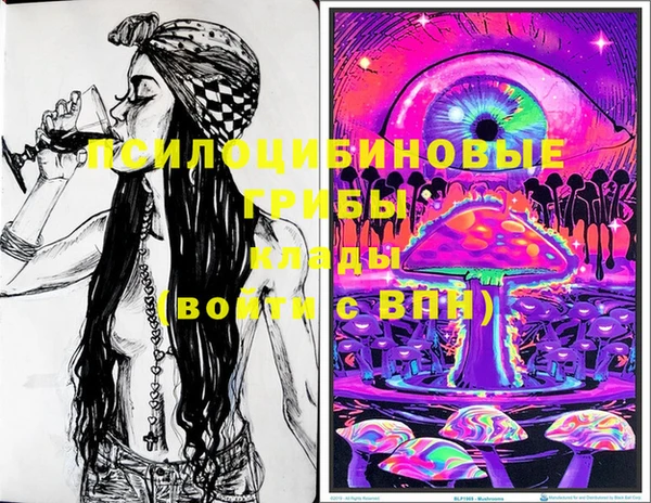 дмт Горняк
