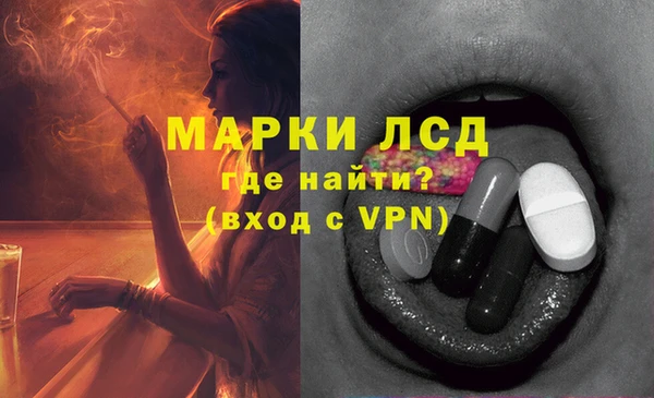 мяу мяу мука Горно-Алтайск